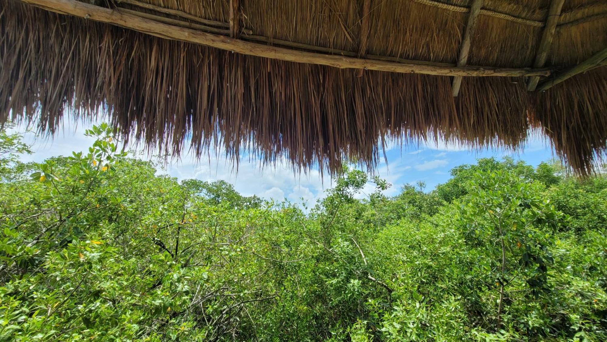 Hotel Cormoran Tulum & Cenote Exterior photo